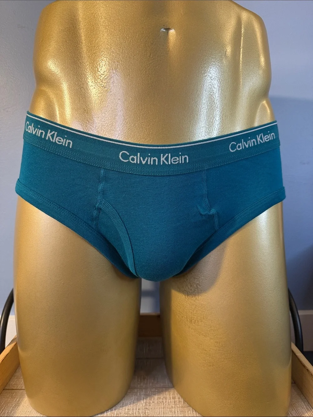 Calvin Klein Teal Cotton Briefs Large